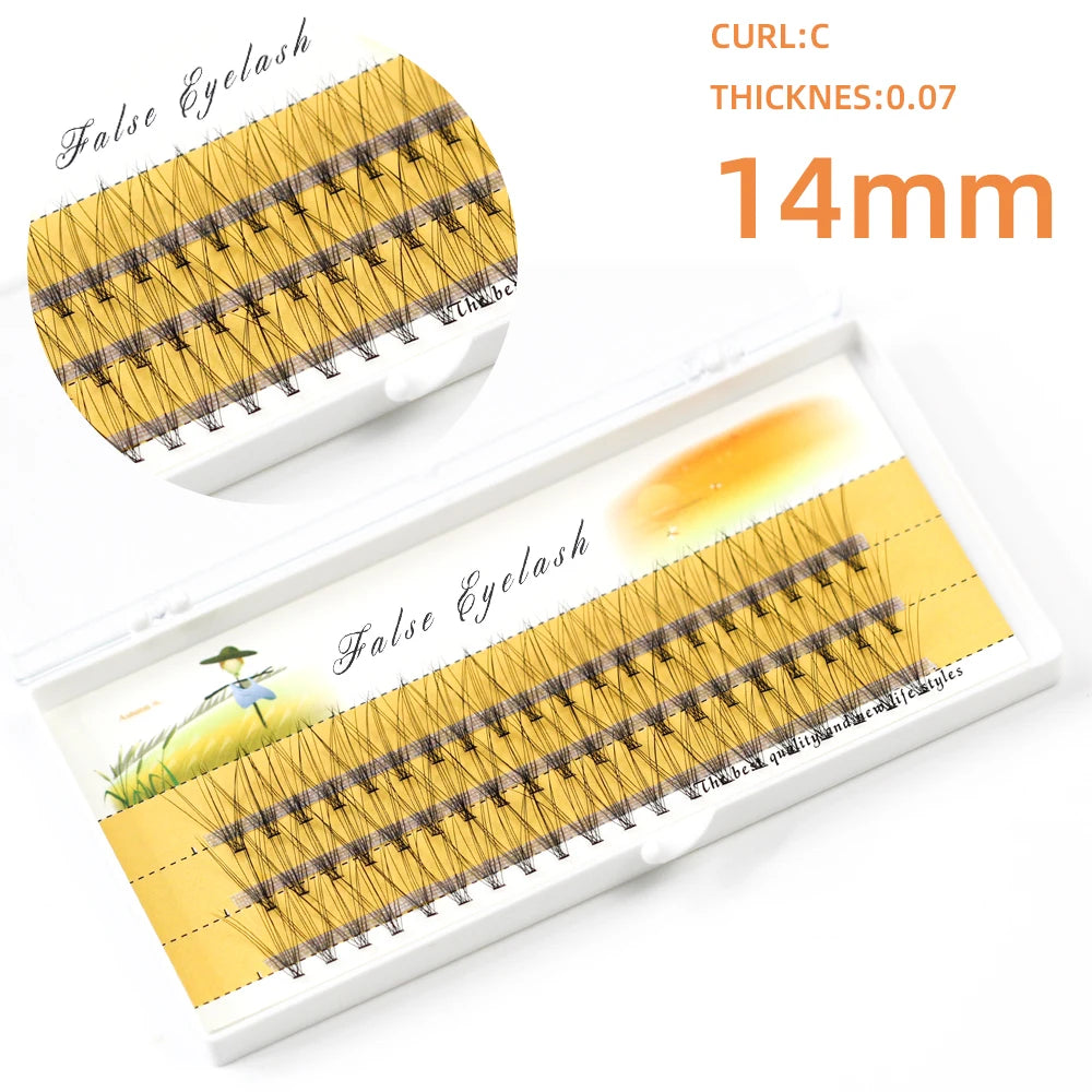 1box/60 Bundles,10D 0.1/0.07mm Thickness Individual Eyelash Extensions eyelashes Cluster Lashes, Natural False Eyelashes Bundles
