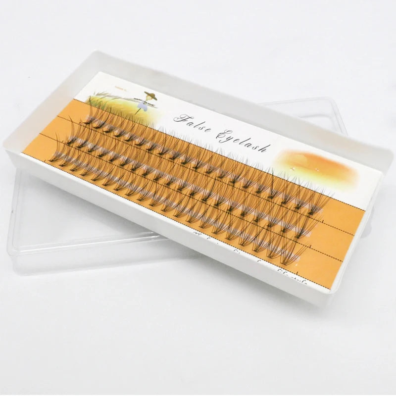 1box/60 Bundles,10D 0.1/0.07mm Thickness Individual Eyelash Extensions eyelashes Cluster Lashes, Natural False Eyelashes Bundles