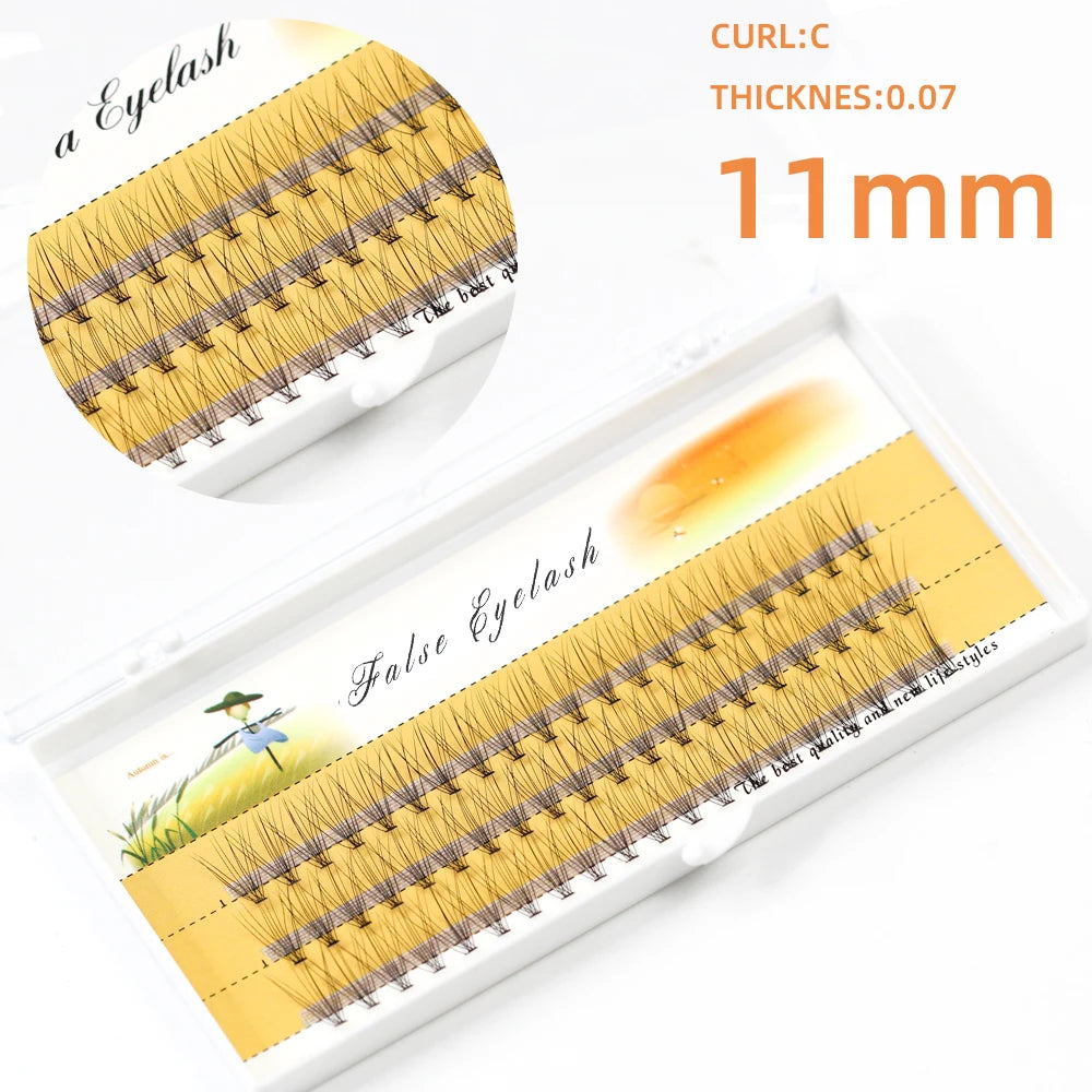 1box/60 Bundles,10D 0.1/0.07mm Thickness Individual Eyelash Extensions eyelashes Cluster Lashes, Natural False Eyelashes Bundles