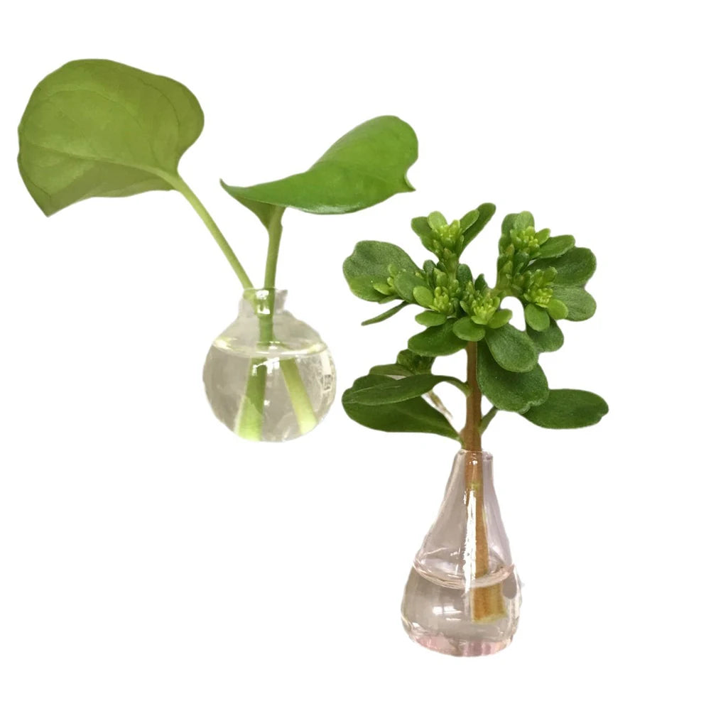 8 Mini Magnetic Vases-for Decorative Small Fridge Magnets Ideal for Kitchens,Offices and Lockers,Vase Decorations(Random Style)