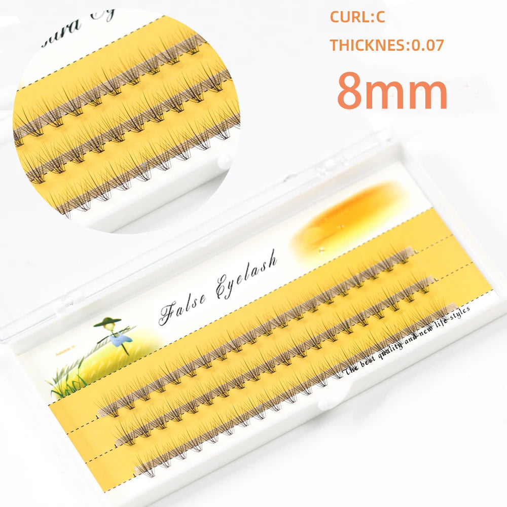 1box/60 Bundles,10D 0.1/0.07mm Thickness Individual Eyelash Extensions eyelashes Cluster Lashes, Natural False Eyelashes Bundles